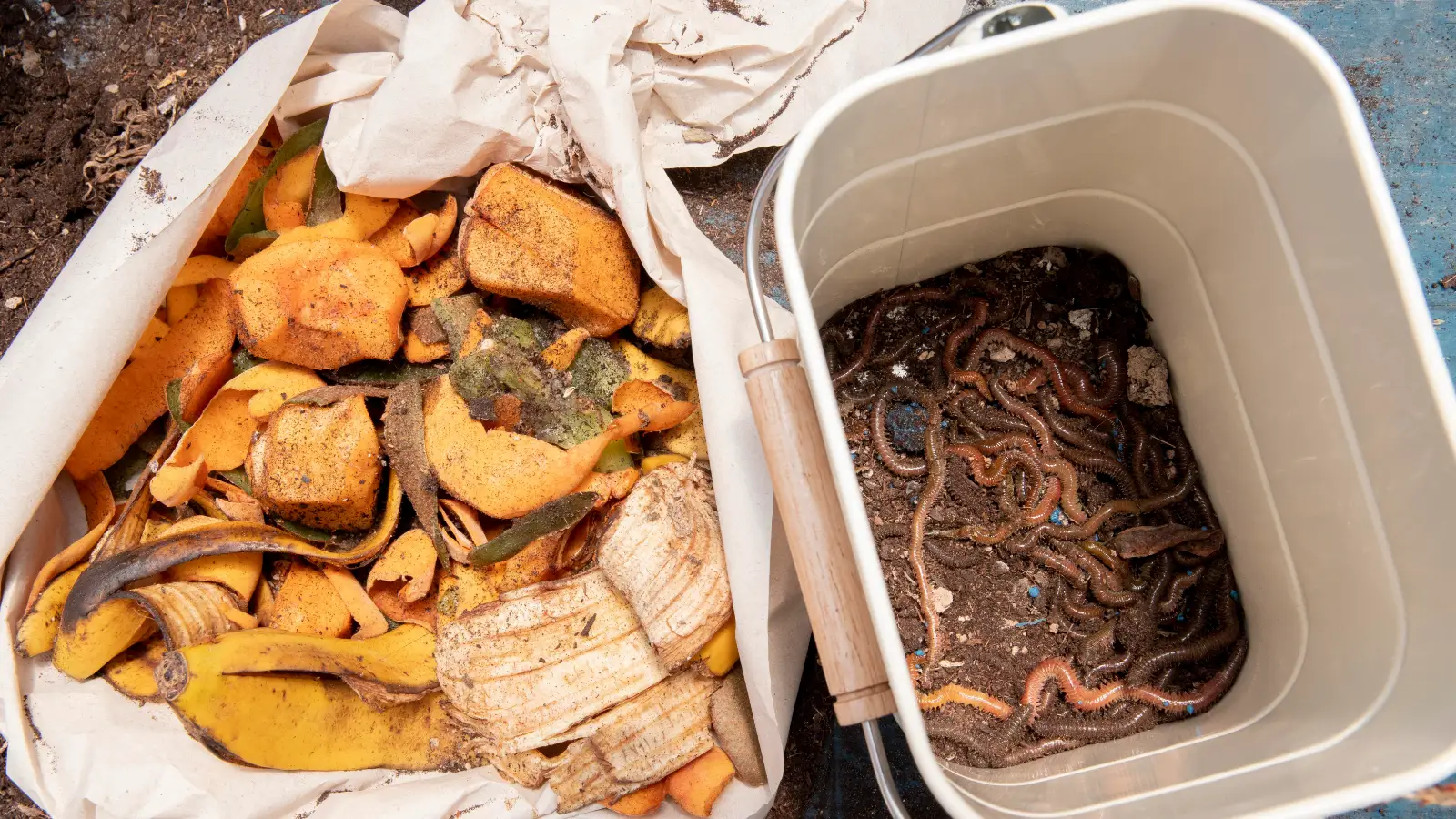 Compostagem e hortas em escolas: educação ambiental que reduz resíduos na prática
